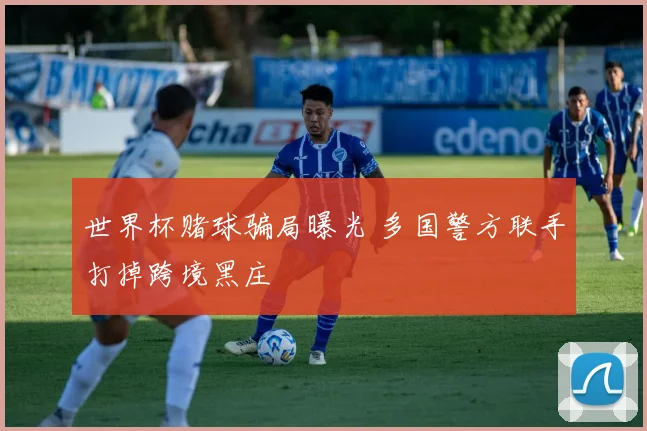 世界杯赌球骗局曝光 多国警方联手打掉跨境黑庄