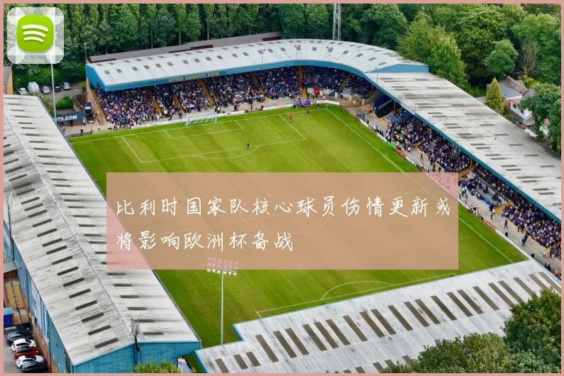 比利时国家队核心球员伤情更新或将影响欧洲杯备战