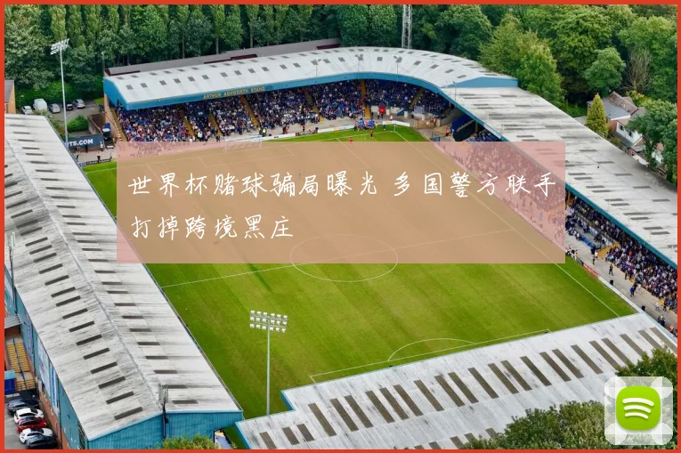 世界杯赌球骗局曝光 多国警方联手打掉跨境黑庄