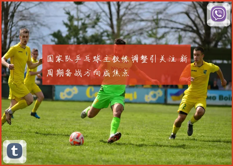 国家队乒乓球主教练调整引关注 新周期备战方向成焦点