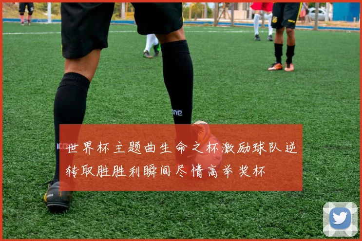 世界杯主题曲生命之杯激励球队逆转取胜胜利瞬间尽情高举奖杯