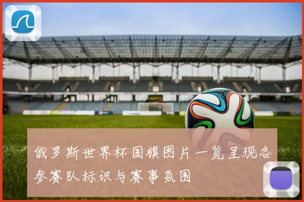 俄罗斯世界杯国旗图片一览呈现各参赛队标识与赛事氛围